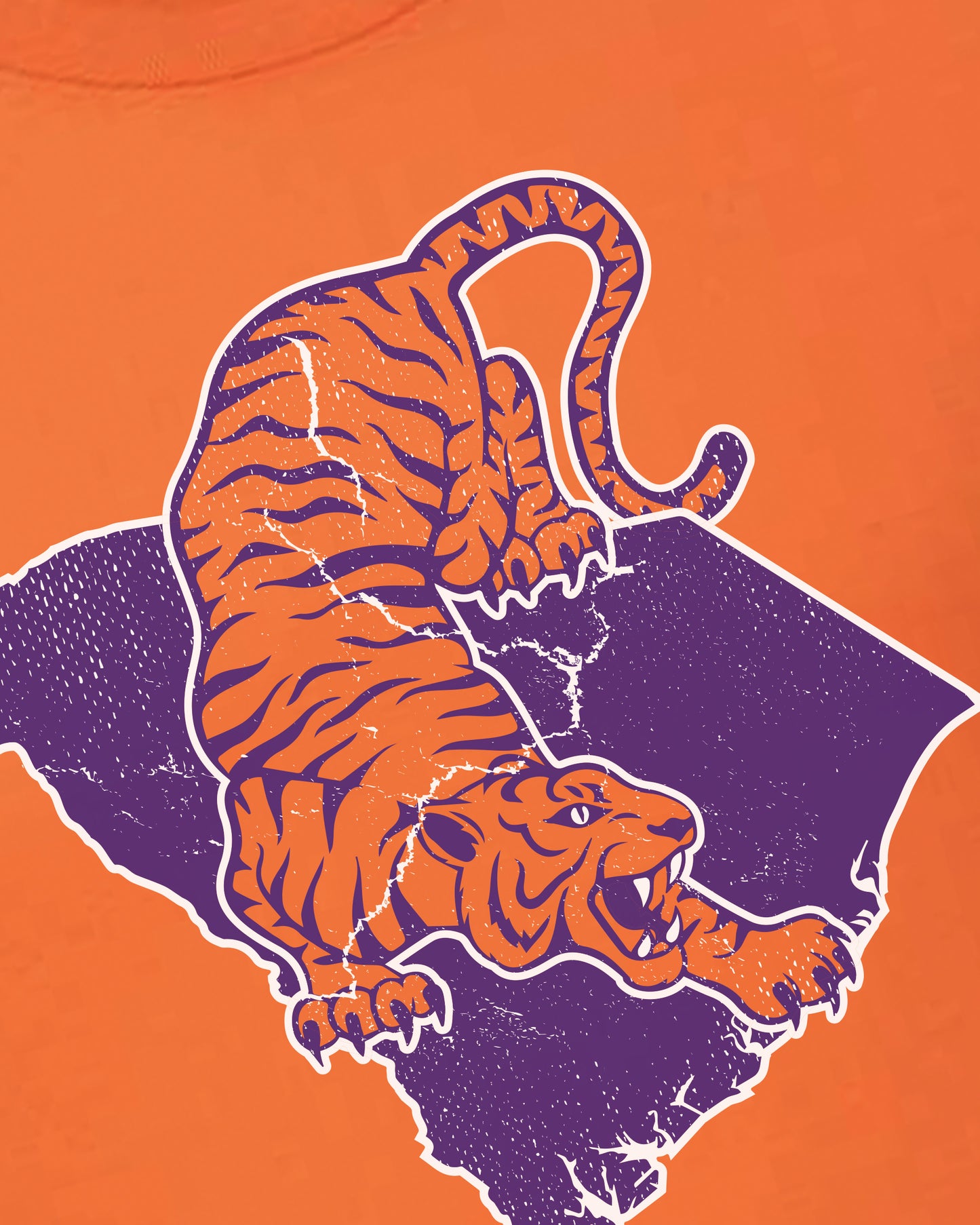 CLEMSON TIGERS