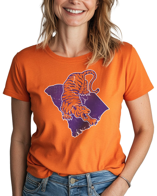 CLEMSON TIGERS